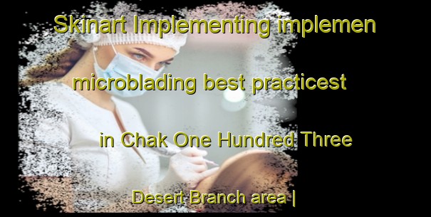 Skinart Implementing implemen microblading best practicest in Chak One Hundred Three Desert Branch area | MicrobladingTraining | MicrobladingClasses | SkinartTraining-Pakistan